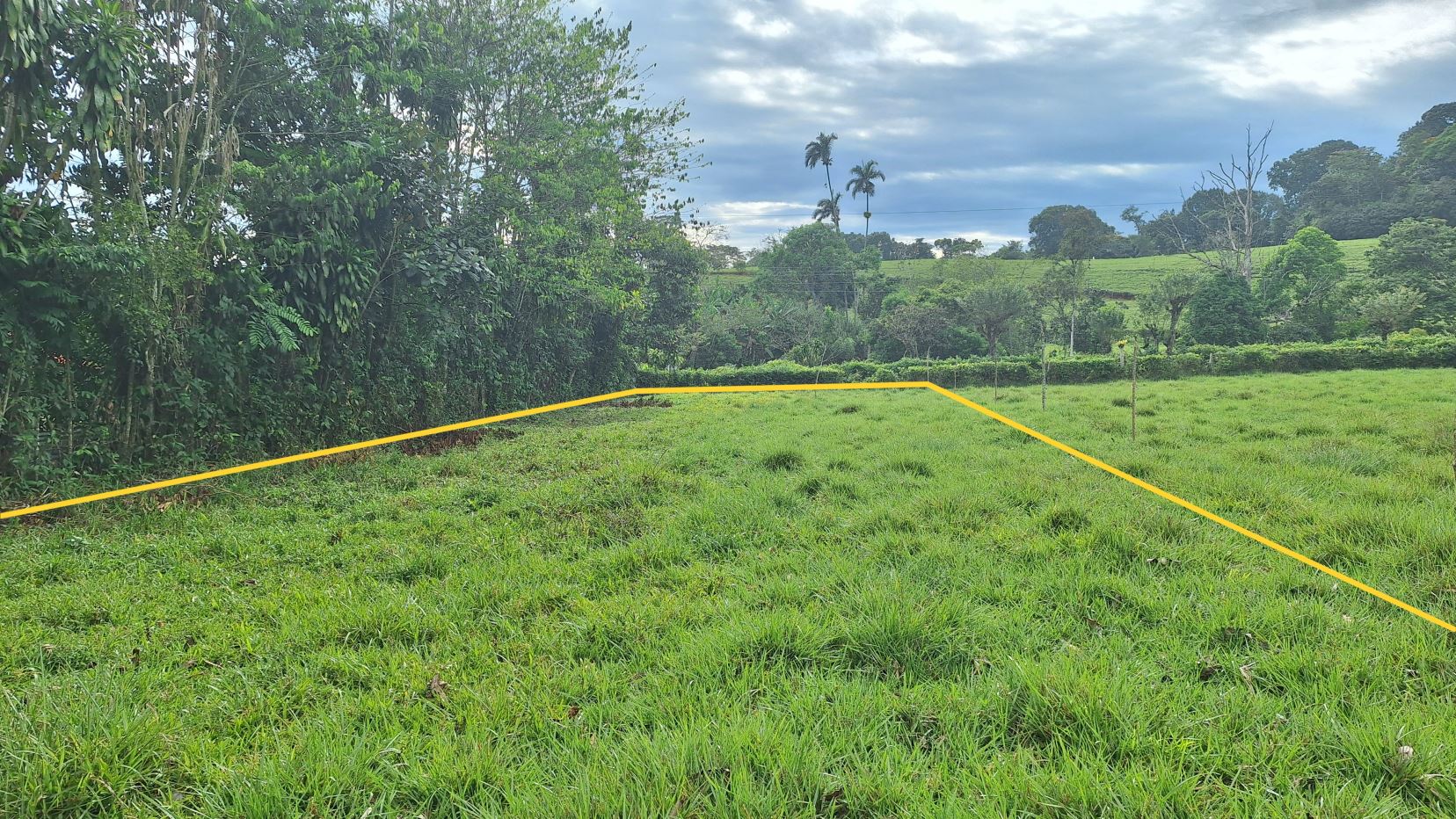 Grass field with yellow boundary lines outlining a plot of land, trees on the left and distant hills under a cloudy sky.