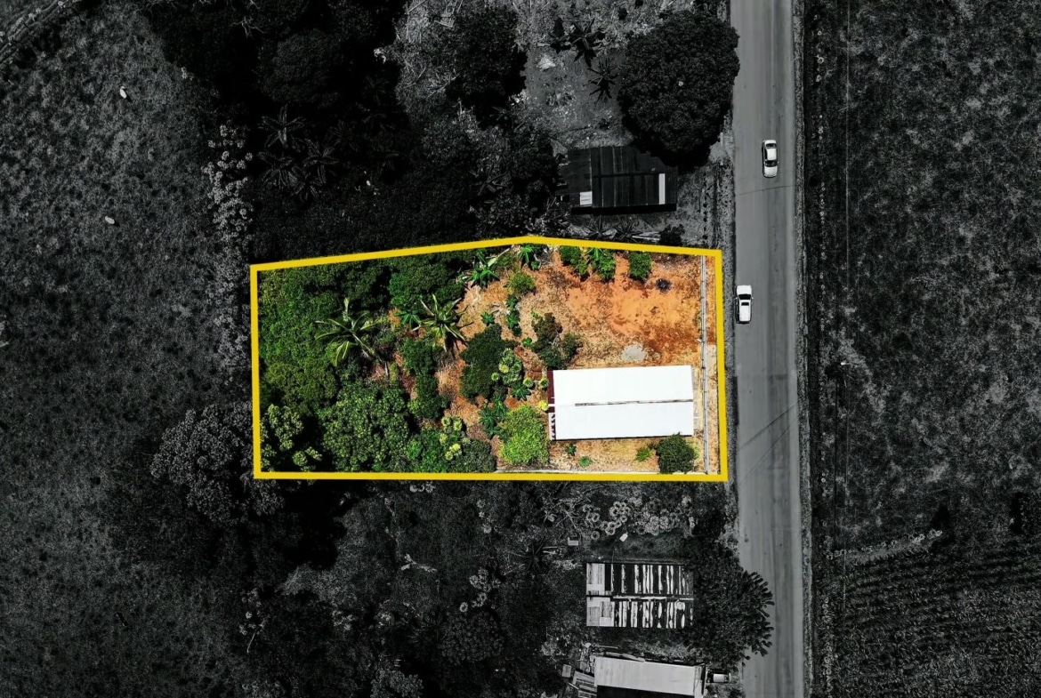 Aerial view of a rectangular lot bordered in yellow, with dense greenery on the left and a white-roofed building on a sandy cleared area beside a road.