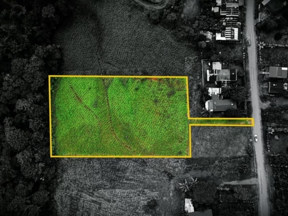 Aerial view of a rectangular green field outlined in yellow, connected to a driveway and buildings, with surrounding grayscale landscape.