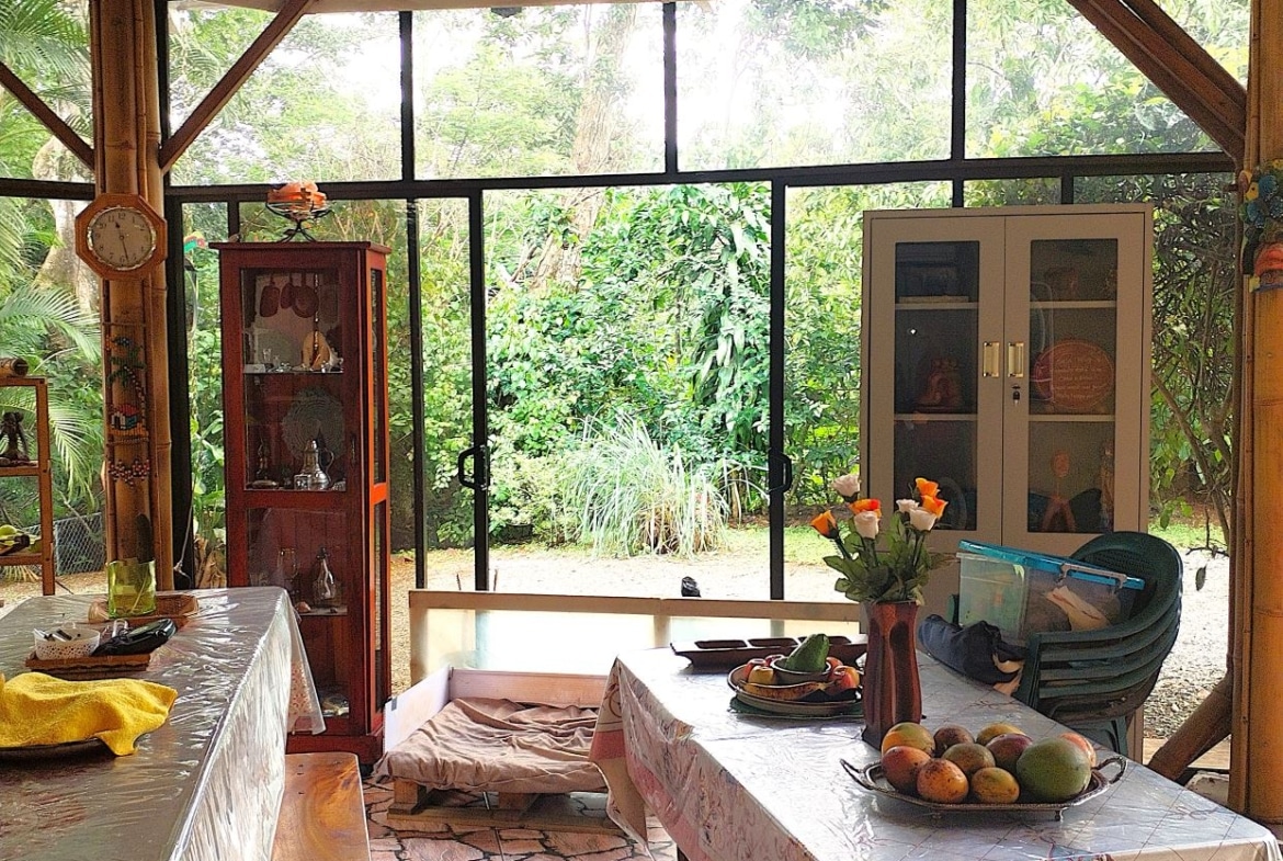 Bright indoor dining area with fruit on a table and a vase of flowers, overlooking a lush garden through glass doors.