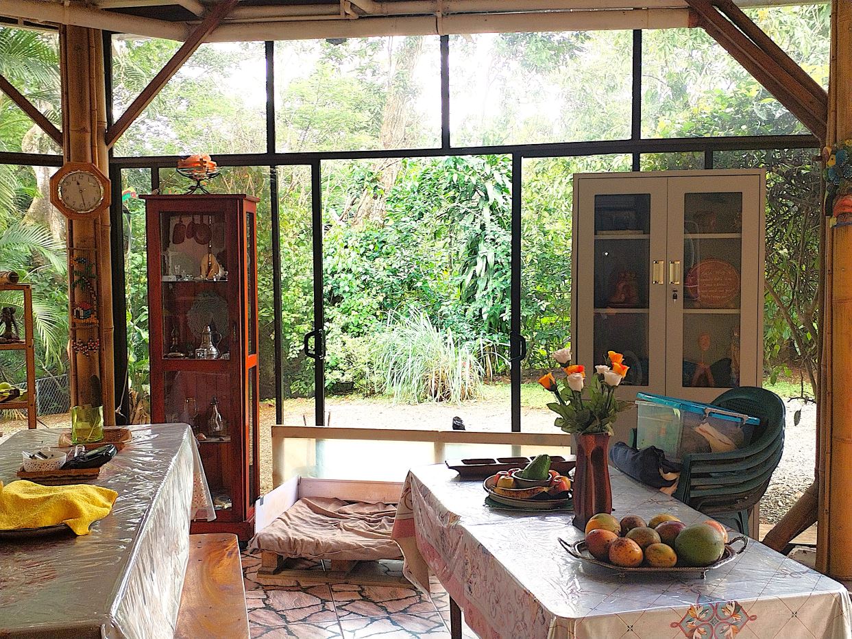 Bright indoor dining area with fruit on a table and a vase of flowers, overlooking a lush garden through glass doors.