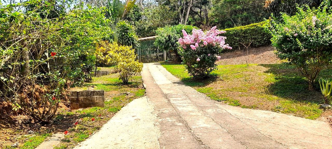 Stone pathway through a sunny garden with pink flowering bush and lush greenery leading to a gate in the distance.