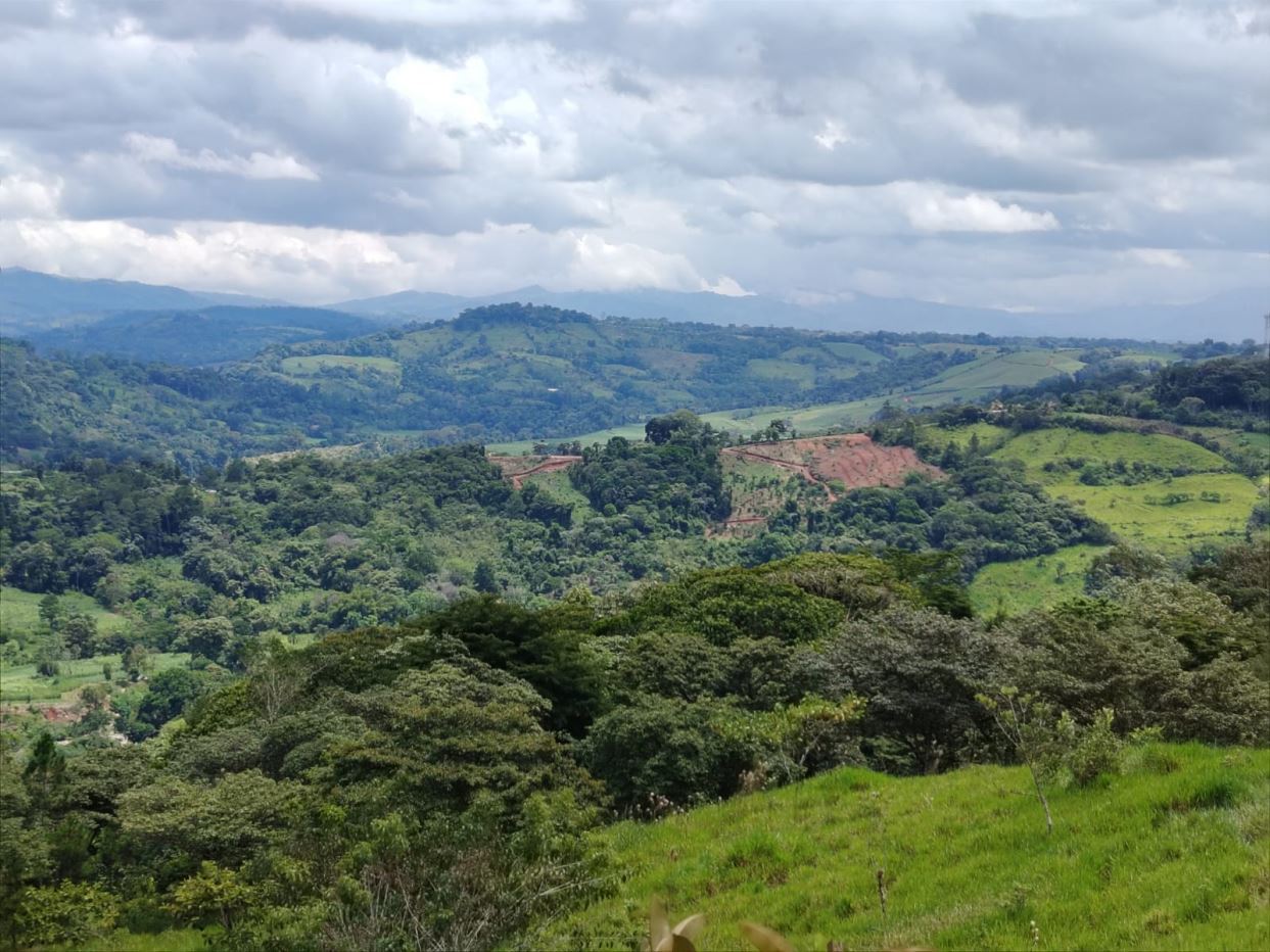 Panoramic view of green hills, forests, and fields under a cloudy sky.