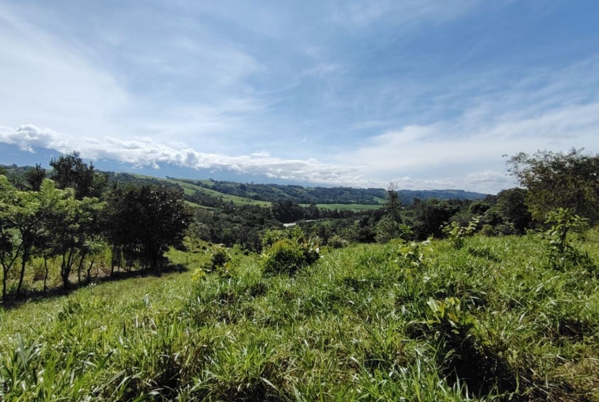 Wide green hillside landscape under a bright blue sky with scattered clouds and distant rolling fields and trees