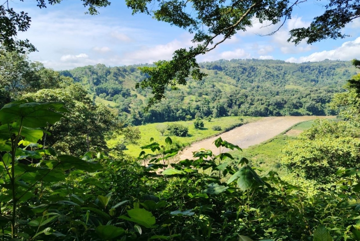 Lush green valley with a dry, sandy riverbed winding through fields, framed by leaves in the foreground.