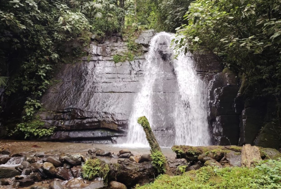 Waterfall cascading over a dark rock cliff surrounded by dense green forest and mossy stones.