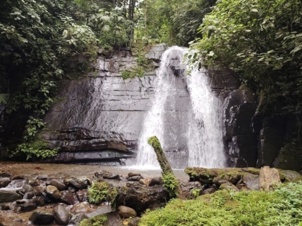 Waterfall cascading over a dark rock cliff surrounded by dense green forest and mossy stones.