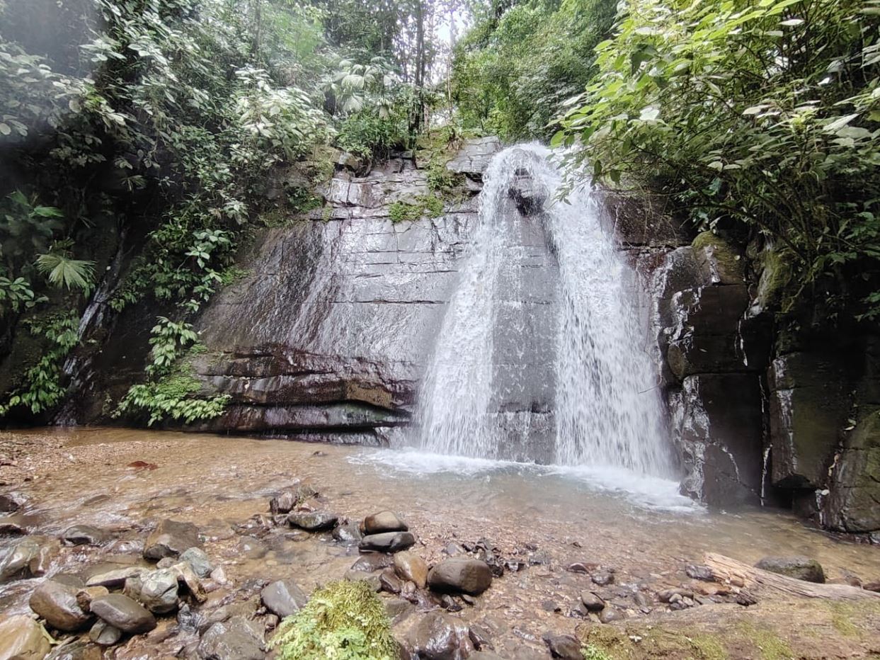 Waterfall spilling over a gray rock face into a shallow, pebbly pool surrounded by dense green vegetation.