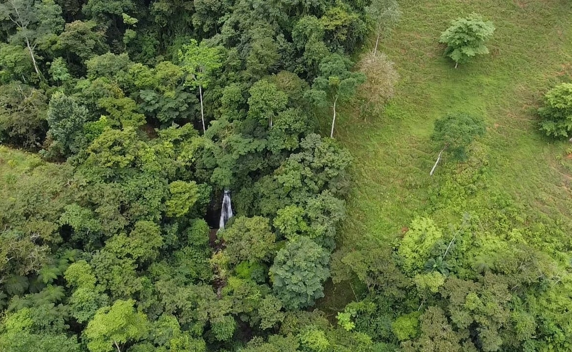 Aerial view of a dense green forest with a small waterfall visible near the center-left.