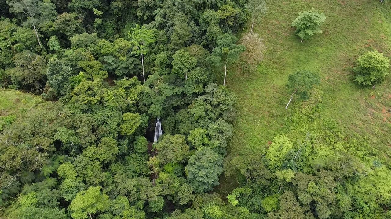 Aerial view of a dense green forest with a small waterfall visible near the center-left.