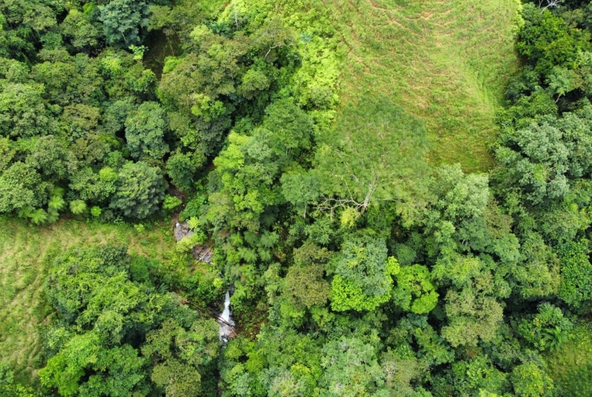 Aerial view of dense green forest with a small waterfall visible near the bottom-left center.