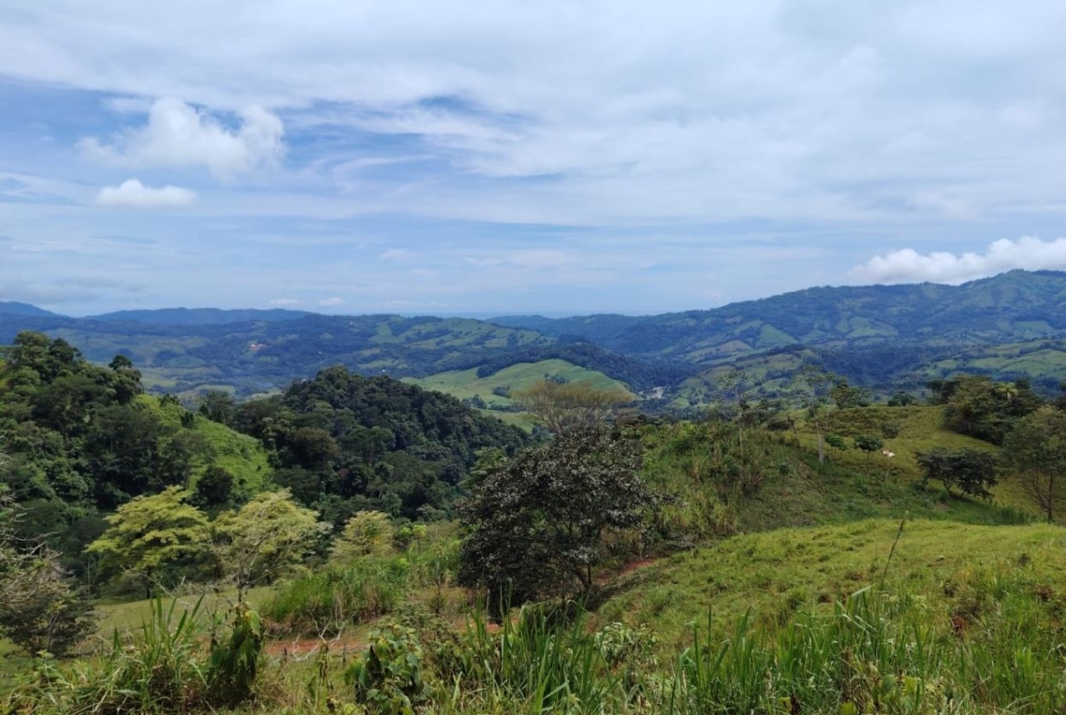 Panoramic view of rolling green hills and valleys under a blue sky with scattered clouds, trees in the foreground.