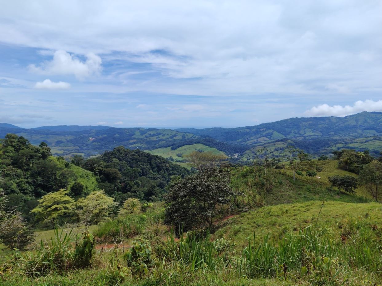 Panoramic view of rolling green hills and valleys under a blue sky with scattered clouds, trees in the foreground.