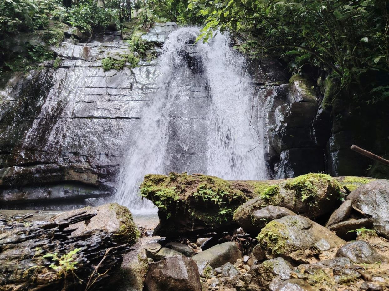 Waterfall cascading down a rocky cliff into a small pool, surrounded by mossy stones in a lush forest.