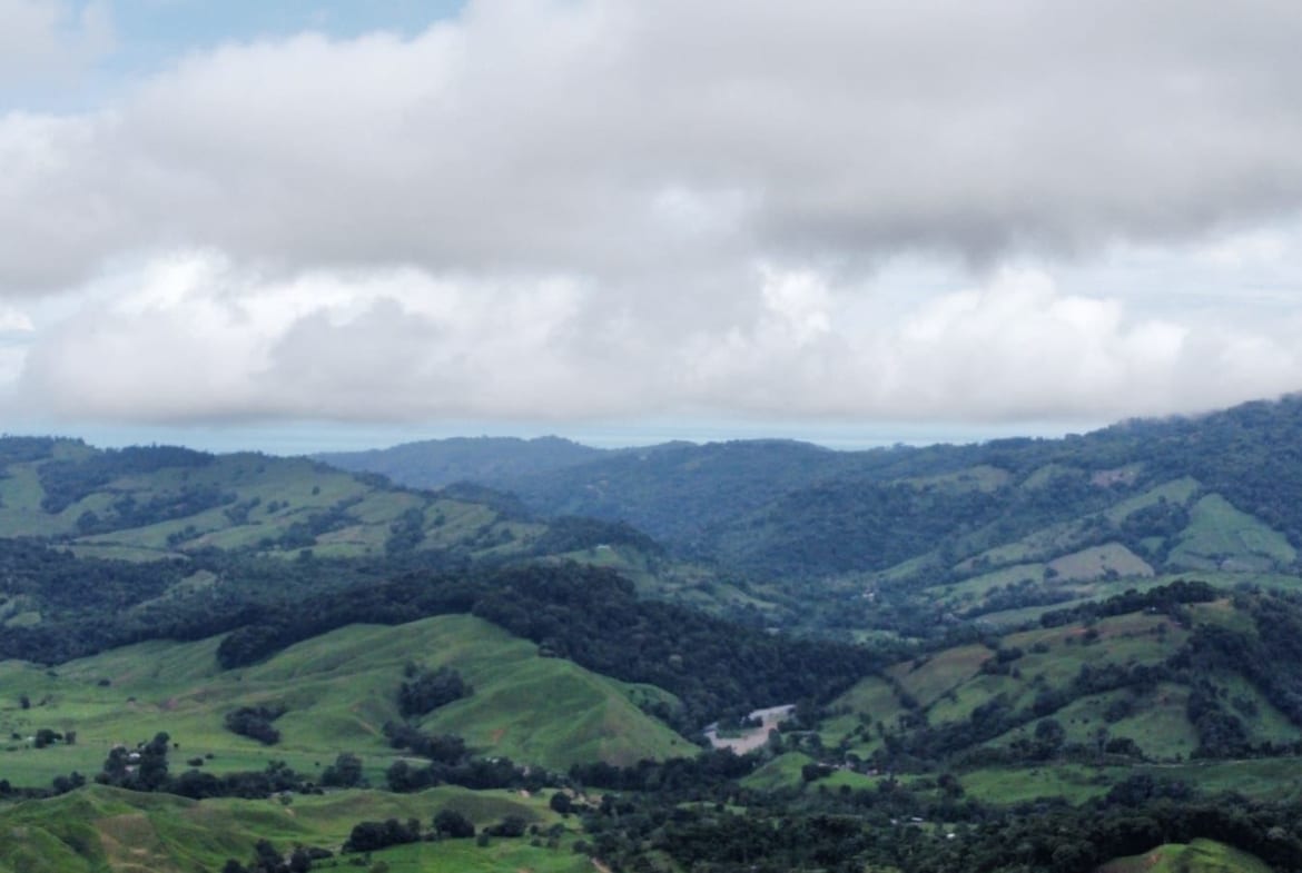 Green rolling hills and valleys under a cloudy sky, with patchwork fields and scattered trees. (informative landscape)