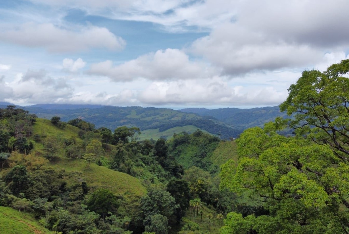 Green rolling hills with dense trees under a partly cloudy blue sky.