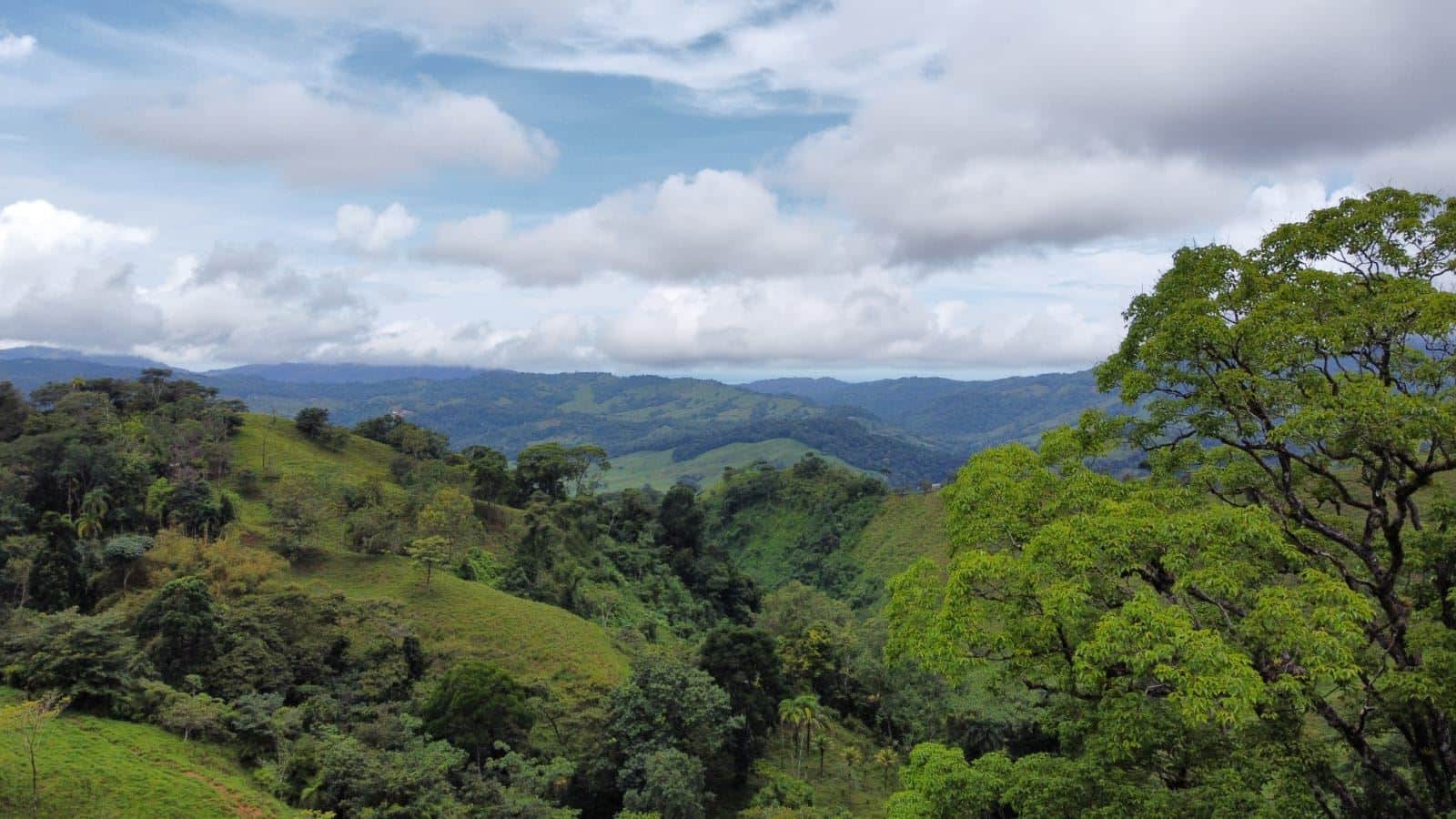 Green rolling hills with dense trees under a partly cloudy blue sky.