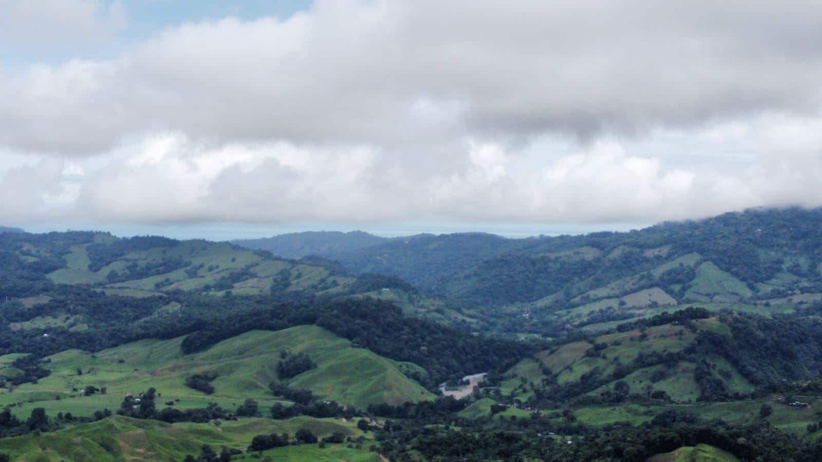 Green rolling hills and valleys under a cloudy sky, with patchwork fields and scattered trees. (informative landscape)