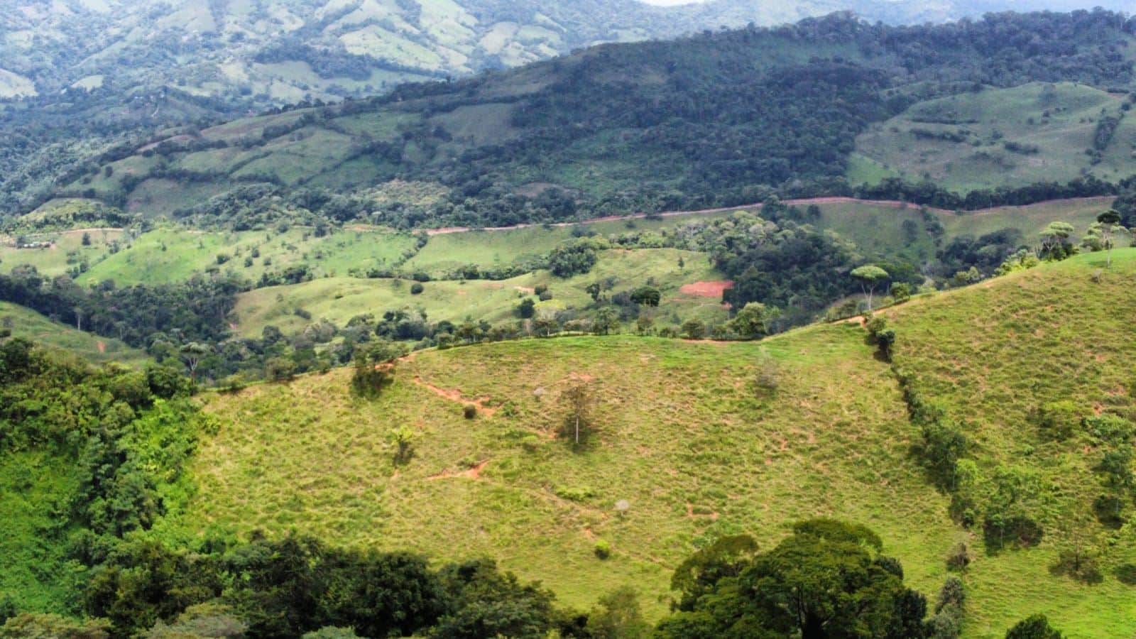 Rolling green hills with scattered trees and small fields, stretching into distant mountains over a lush valley.