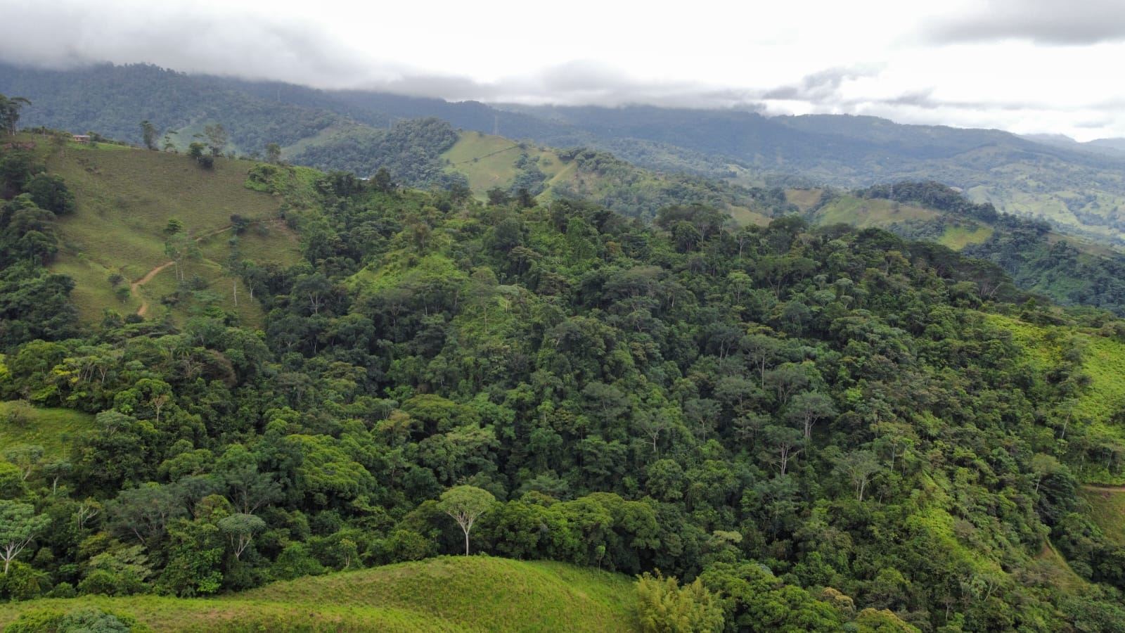 Aerial view of green hills, patchy clearings, and dense forest under a cloudy sky.