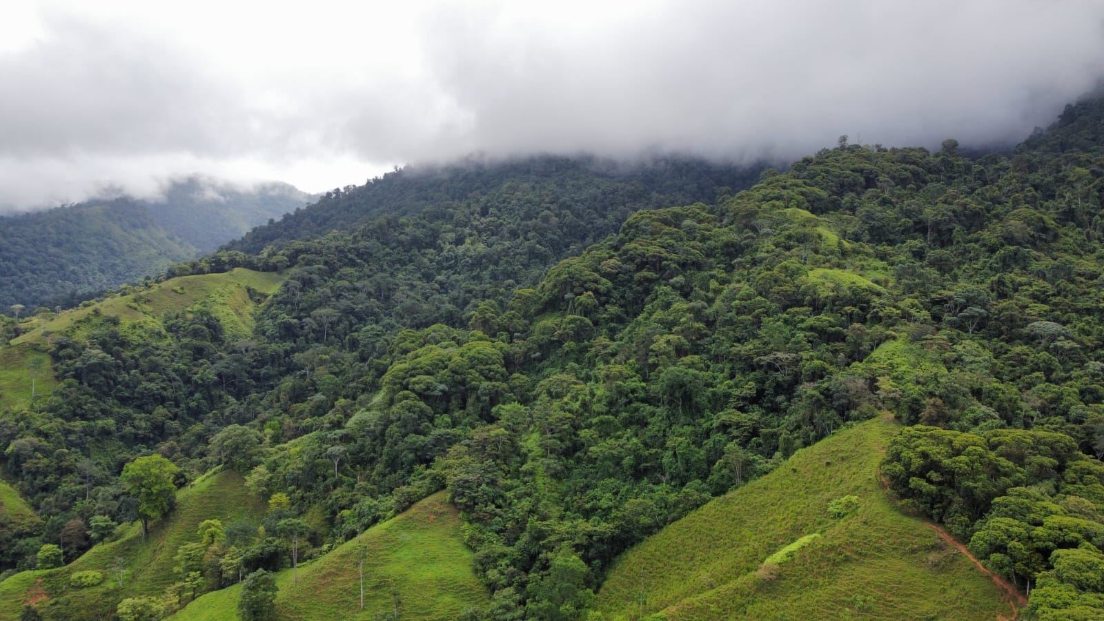 Lush green hills and dense tropical forest under a cloudy sky, viewed from above