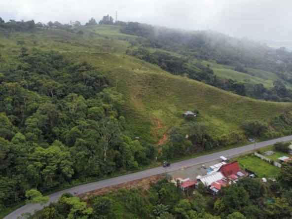 A hillside covered in green grass and trees with a winding road at the bottom right and a small village on the roadside. Misty clouds hover over the hilltop.