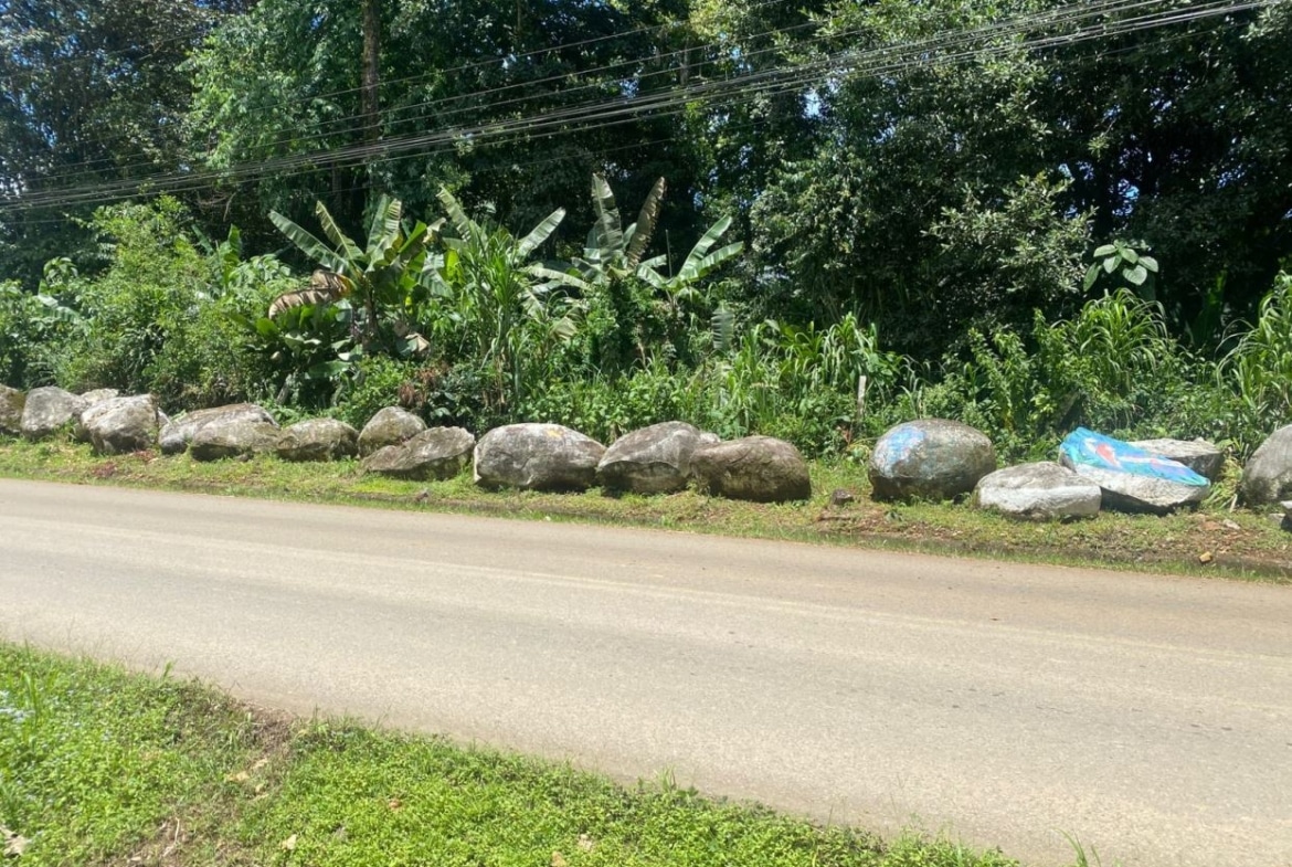Row of large rocks along a roadside with dense green vegetation and a blue tarp covering one rock