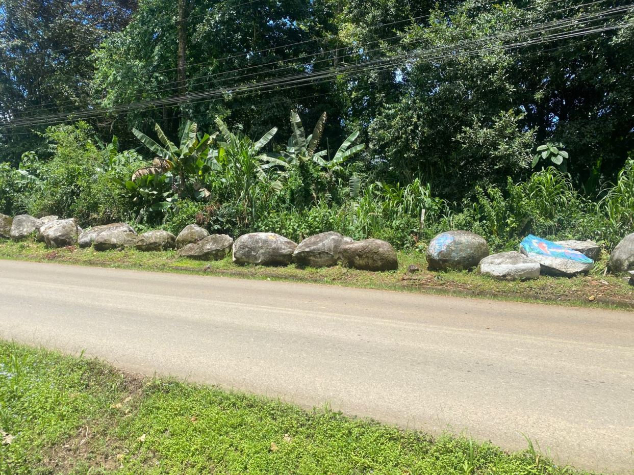 Row of large rocks along a roadside with dense green vegetation and a blue tarp covering one rock