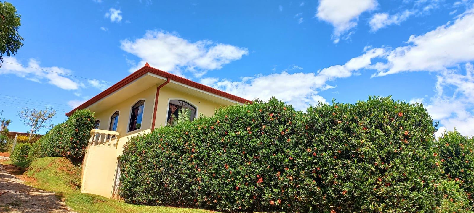Yellow house with a red roof partially hidden by a tall green hedge dotted with small orange flowers under a bright blue sky.