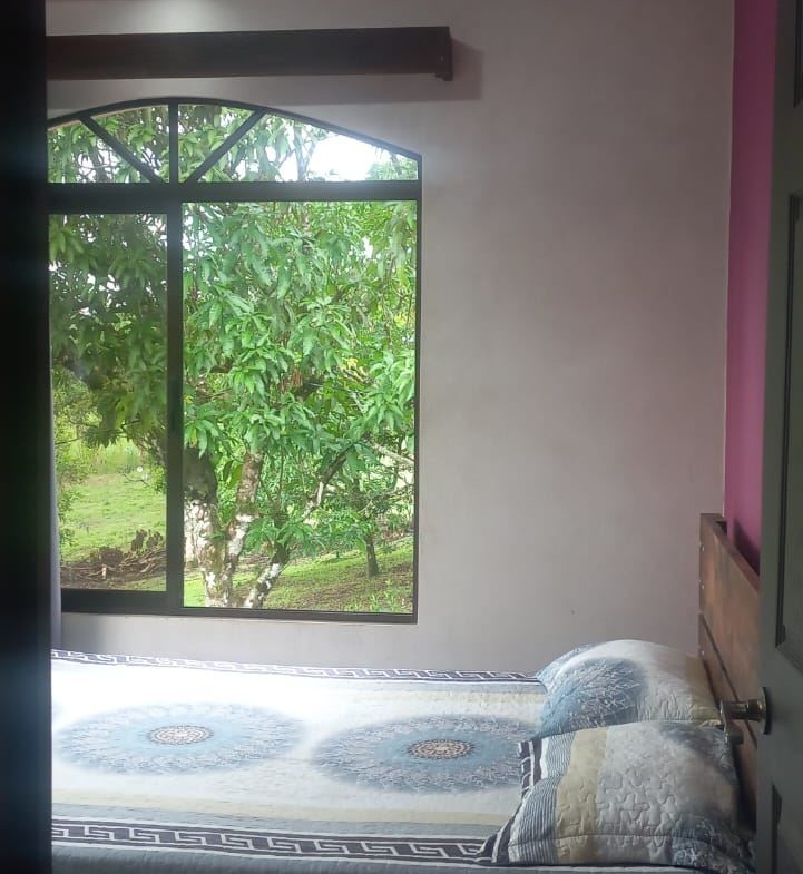 Bedroom with a bed facing a large window showing green trees outside (garden visible).