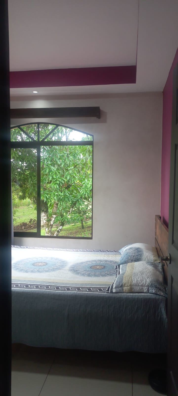 Bedroom with a bed facing a large window showing green trees outside (garden visible).