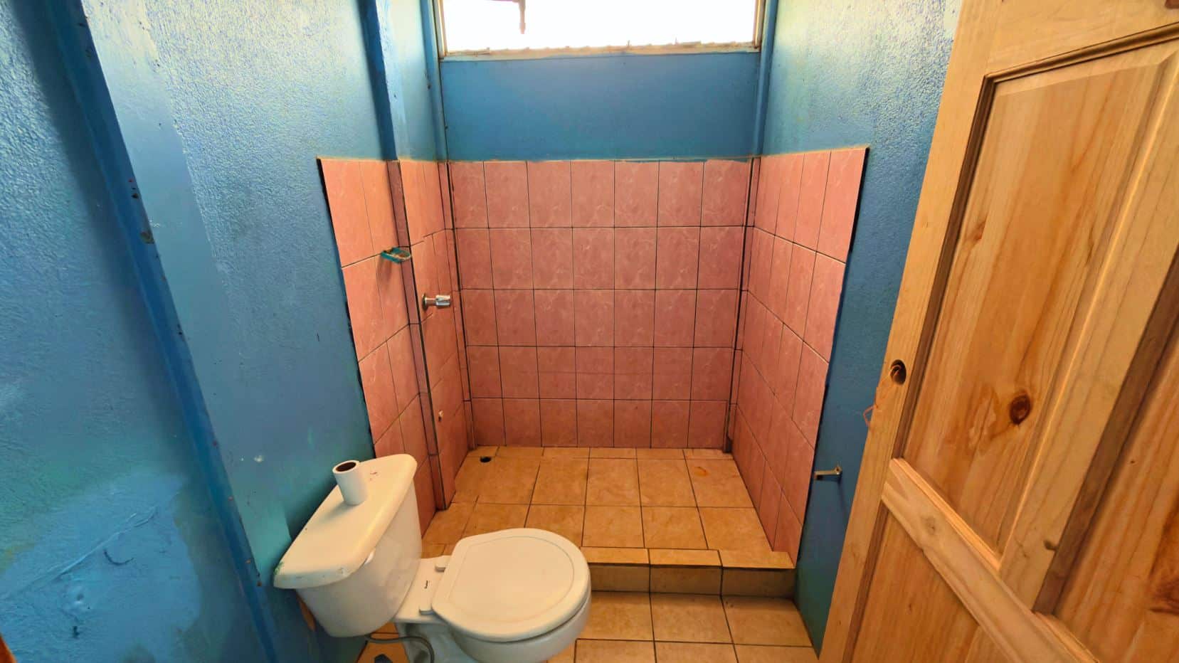 Small blue-walled bathroom with pink tile shower area and a white toilet in the foreground, wooden door on the right and a high window above.