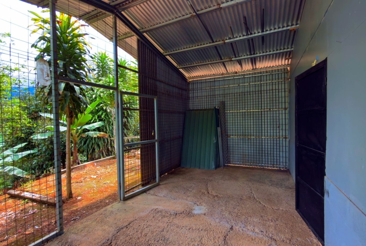 Empty metal storage shed with corrugated roof and wire-mesh walls; stacked green metal panels lean against the back wall, garden visible outside.
