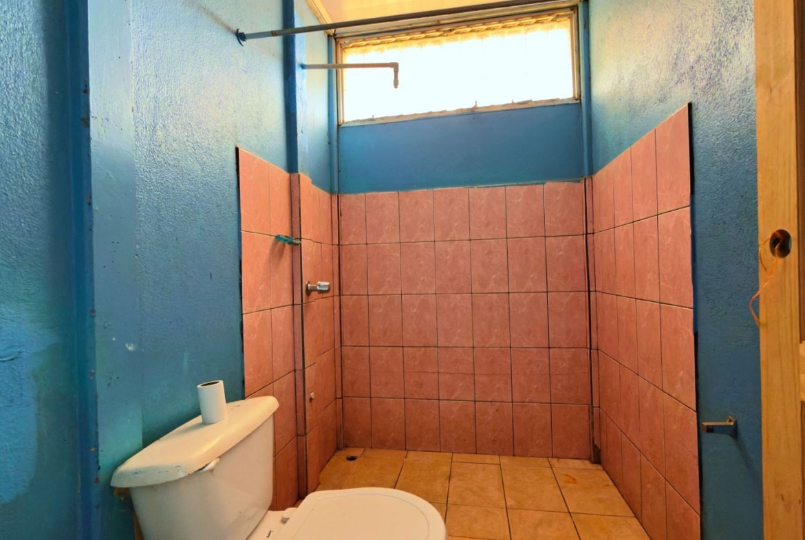 Blue bathroom with pink tiled walls and floor, toilet with a roll of toilet paper on the tank, and a small high window.