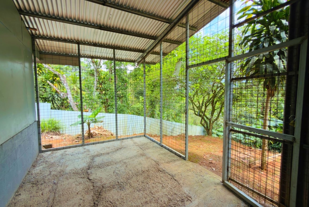 Empty wire-mesh animal enclosure with a concrete floor and corrugated roof, opening to a lush garden outside.