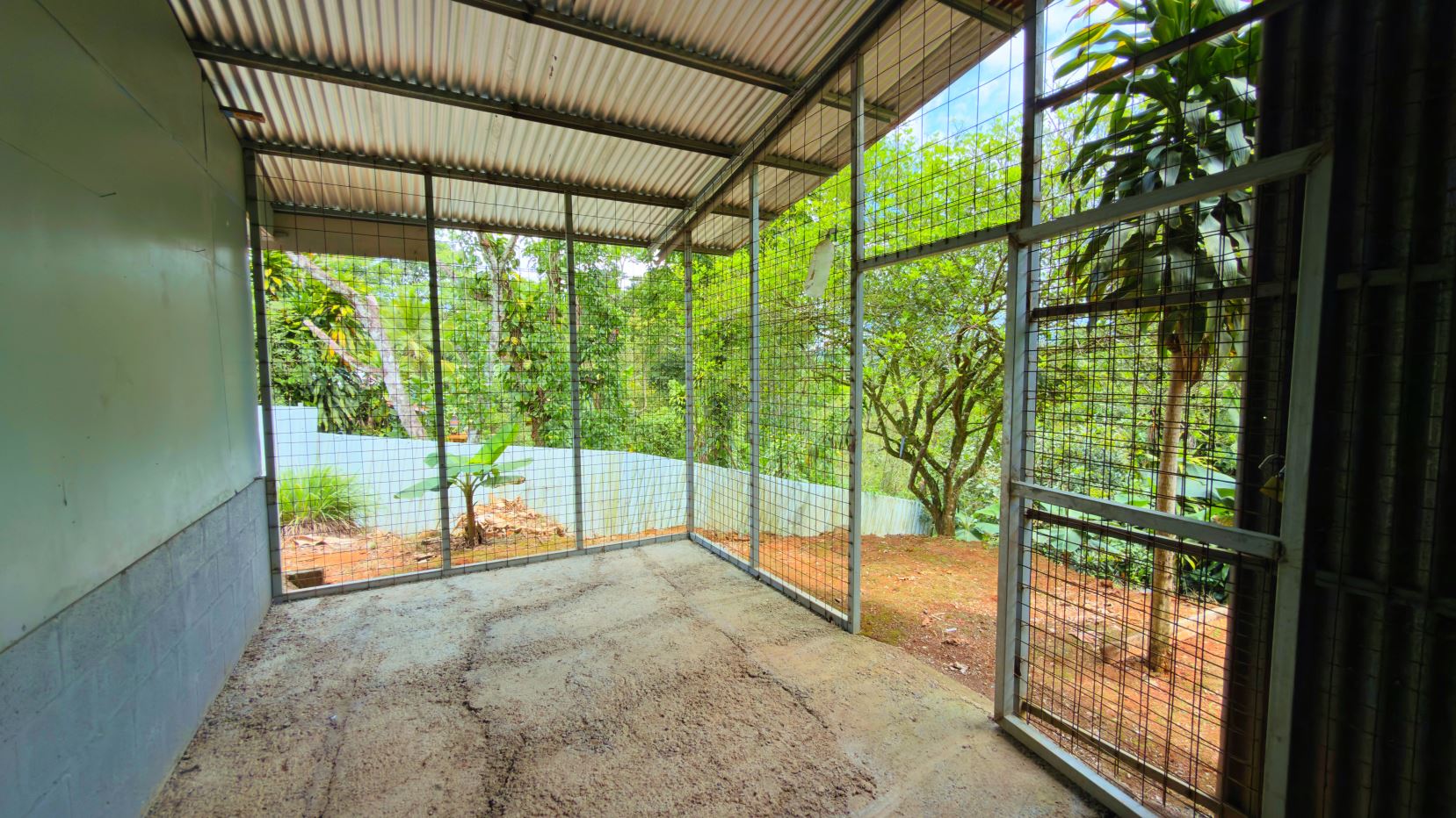 Empty wire-mesh animal enclosure with a concrete floor and corrugated roof, opening to a lush garden outside.