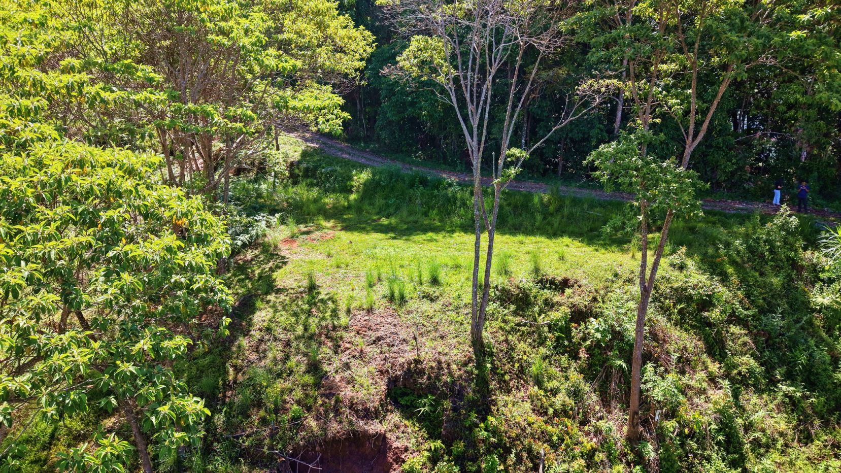 Sunlit park scene with a dirt path winding through trees, green grass, and two people standing along the trail on the right side.]','Aerial view of a lush park: tall trees, a narrow dirt path, and two figures near the path edge on the right.','Green clearing framed by trees and shrubs, with a winding path and two people visible along the edge of the trail.
