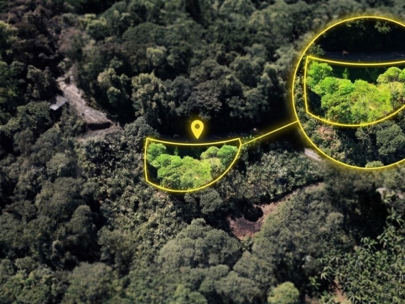Aerial forest view with two yellow-outlined circular zoomed-in insets connected by a curved line and a location pin marking the areas of interest.