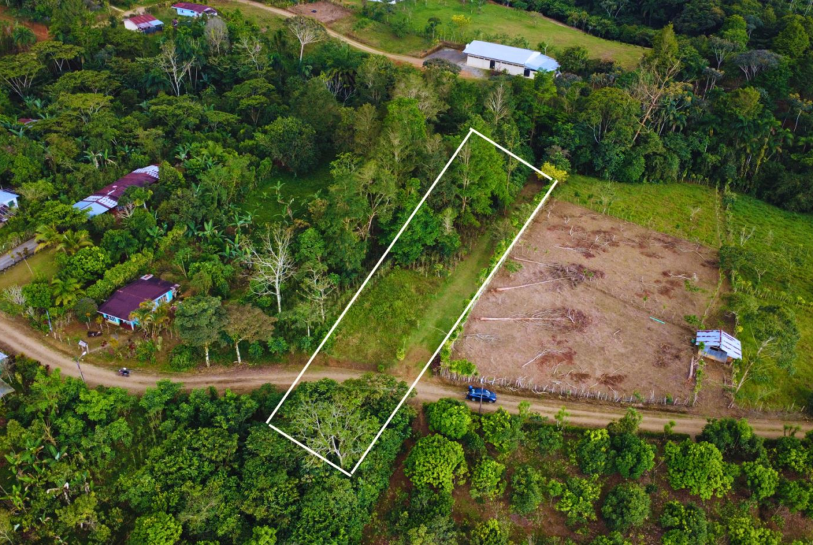 Aerial view of a rectangular plot outlined in white, surrounded by trees and a dirt road with nearby houses.