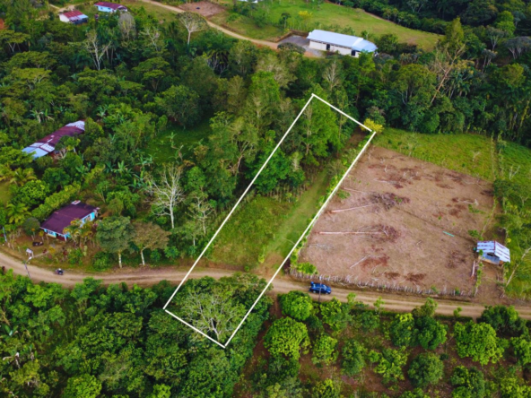 Aerial view of a rectangular plot outlined in white, surrounded by trees and a dirt road with nearby houses.