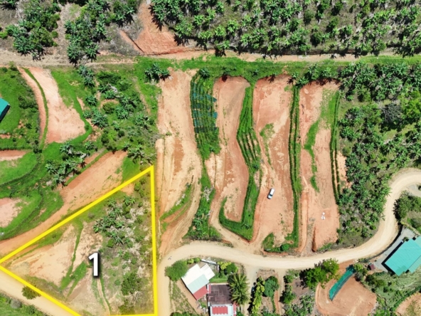 Aerial view of a farmland plot with a yellow-outlined triangle labeled '1' along a dirt road. Vegetation and small buildings surround the area.