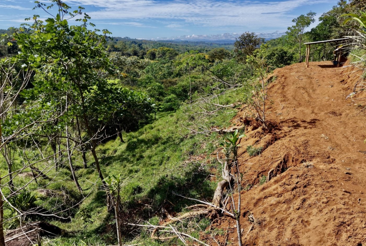 Dirt path along a hill’s edge with exposed soil and a small wooden shelter on the right, overlooking dense green jungle under a blue sky.