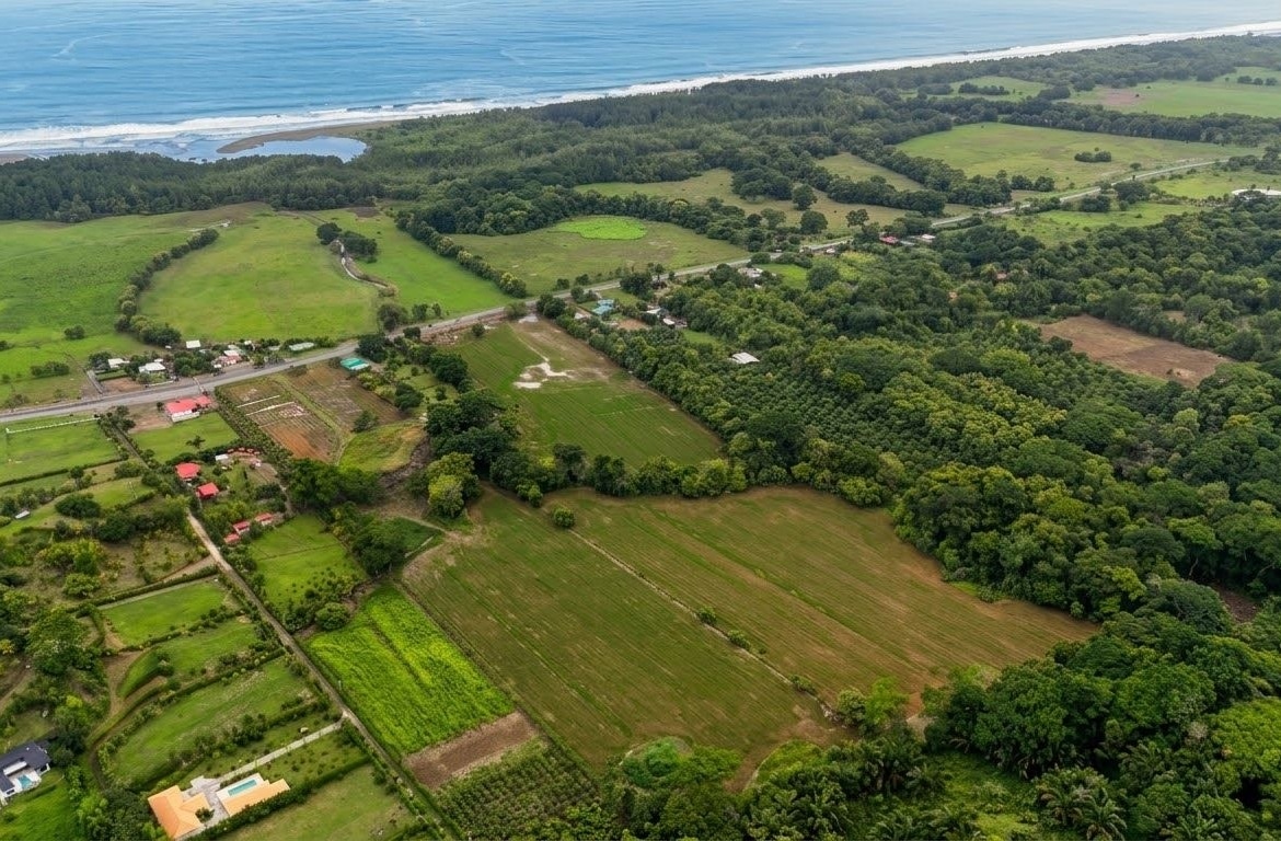 Aerial view of a green farmland area meeting a blue coastline with scattered houses and dense trees nearby.