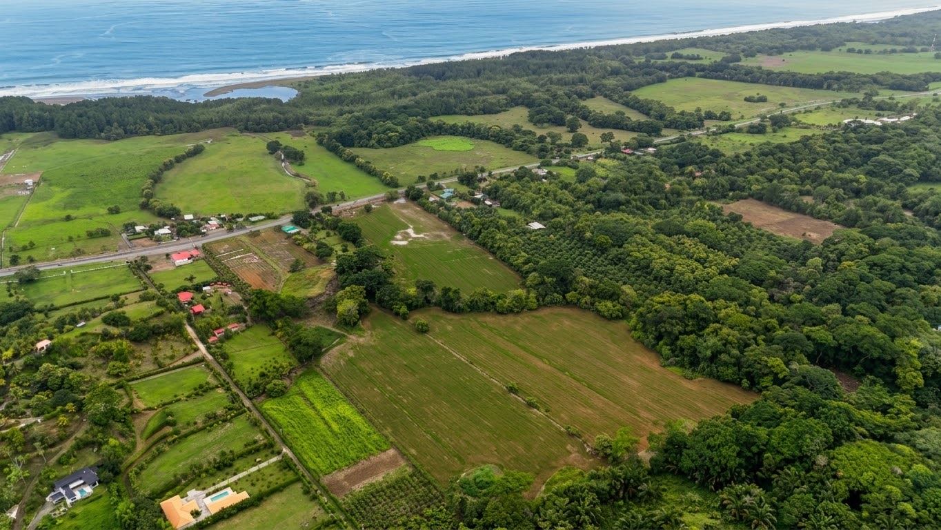 Aerial view of a green farmland area meeting a blue coastline with scattered houses and dense trees nearby.