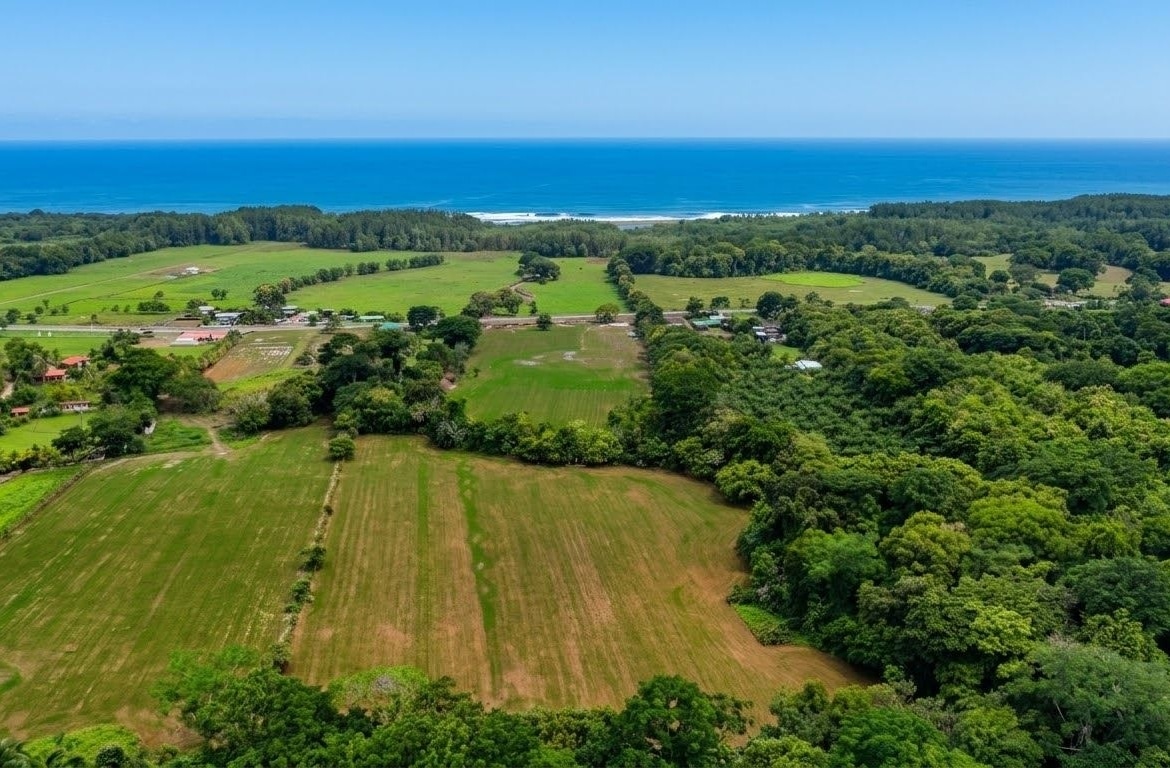 Aerial view of green farmland and forests meeting a blue coastline on a sunny day, with fields and scattered buildings nearby.