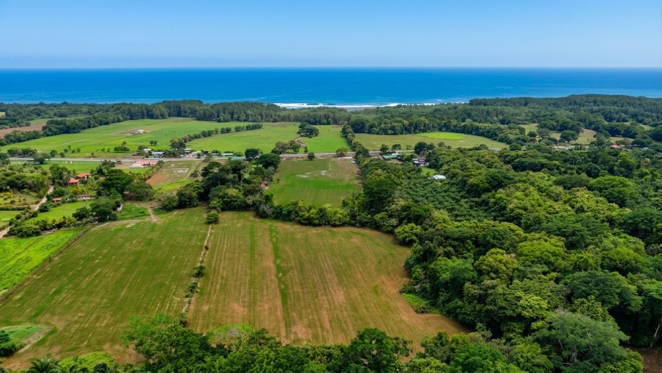 Aerial view of green farmland and forests meeting a blue coastline on a sunny day, with fields and scattered buildings nearby.