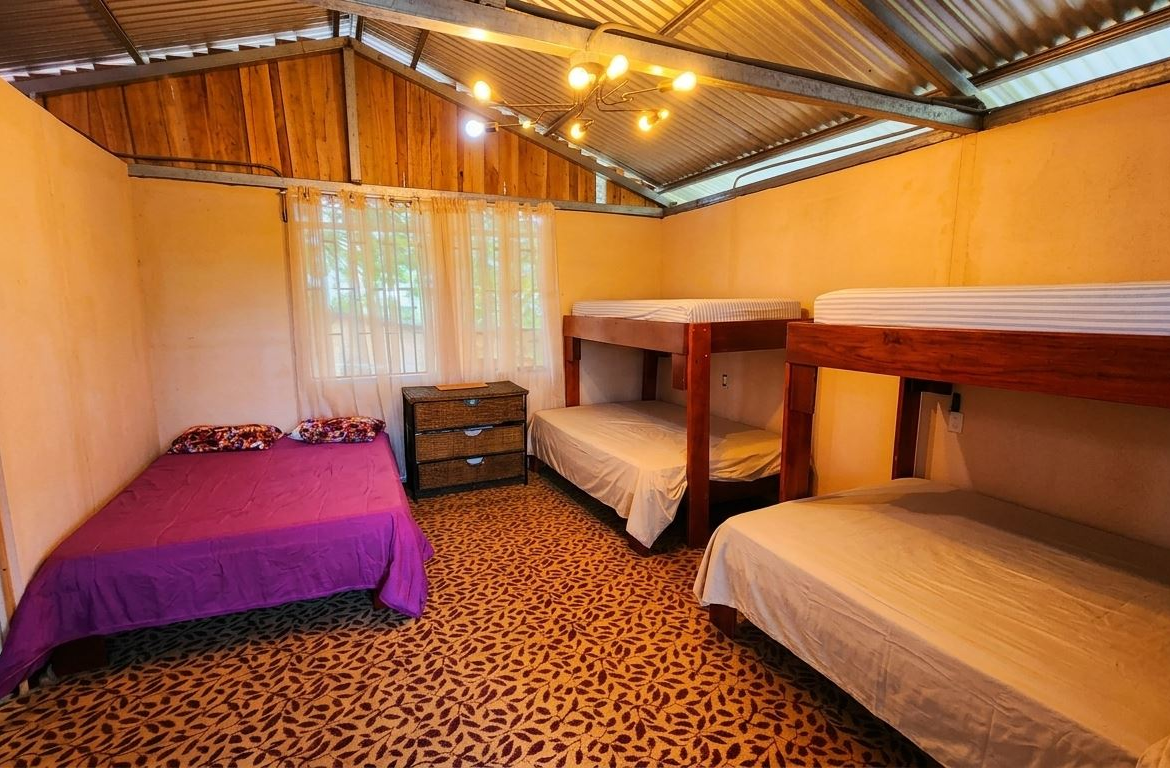 Room with three beds: a purple-covered full bed on the left and two bunks on the right, a small dresser in the middle, and a window with sheer curtains above a patterned carpet.