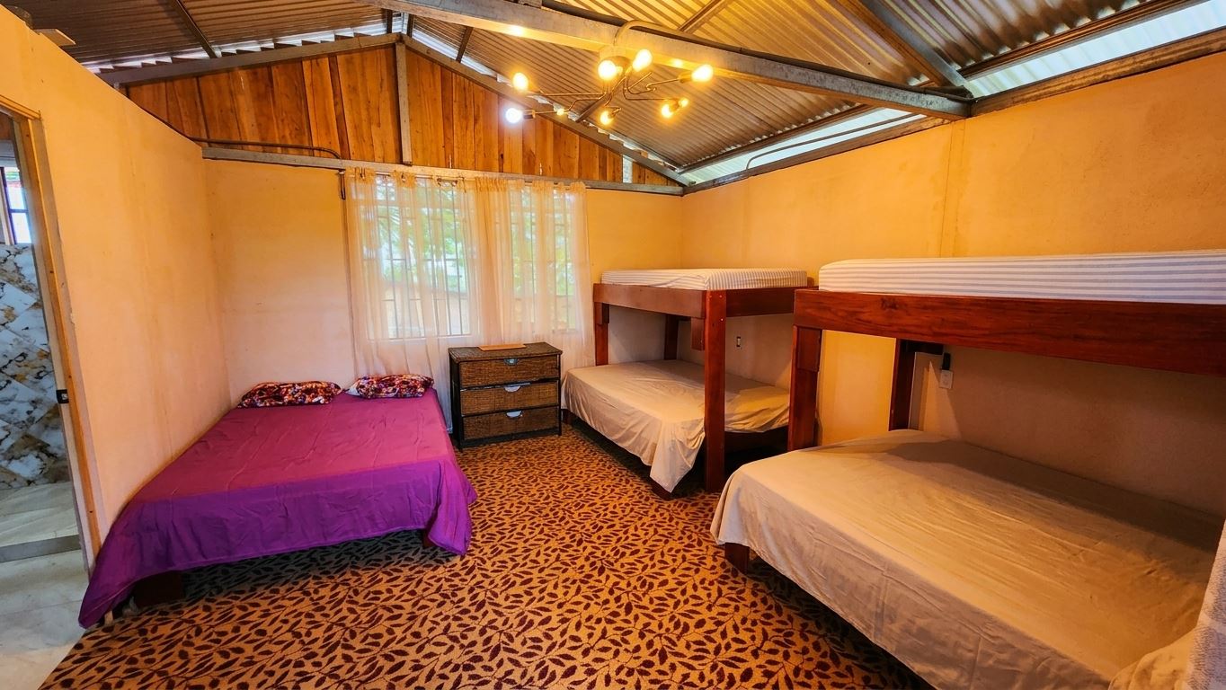 Room with three beds: a purple-covered full bed on the left and two bunks on the right, a small dresser in the middle, and a window with sheer curtains above a patterned carpet.