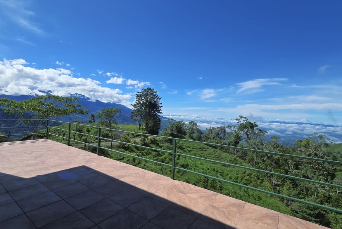 Terrace with a tiled floor and green railing overlooking a valley of trees and mountains under a bright blue sky.