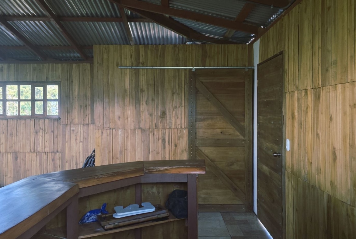 Rustic wooden interior with a curved bar counter in the foreground, wood-paneled walls, a multi-panel window to the left, and a large wooden door on the right side.